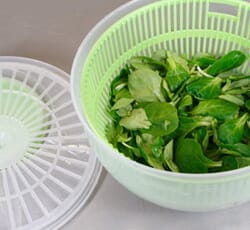 SaladSpinner.jpg