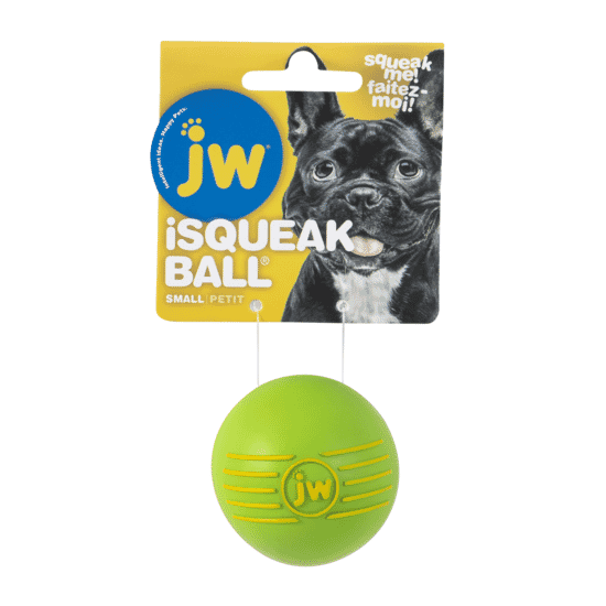 JW-PET-ISqueak-Ball-Dog-Toy-Small-119462-1.jpg