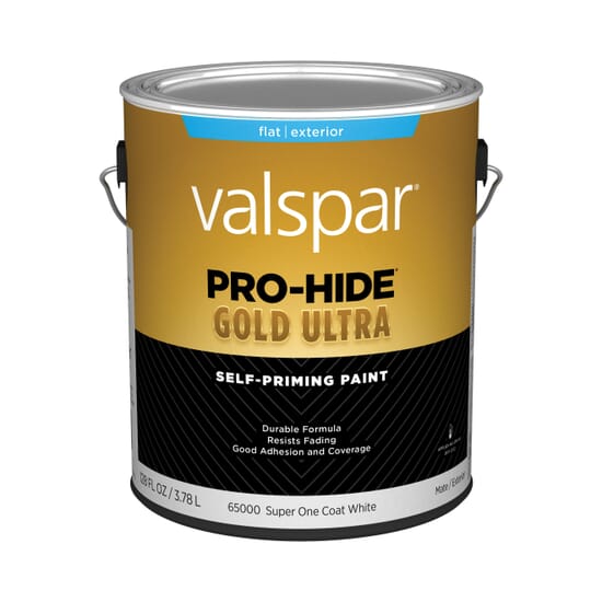 VALSPAR-Acrylic-Latex-House-&-Trim-Paint-1GAL-129074-1.jpg