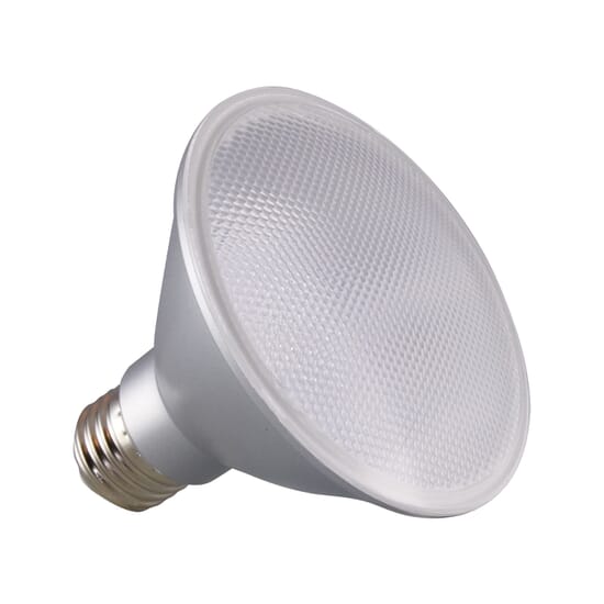 SATCO-LED-Standard-Bulb-13WATT-131260-1.jpg
