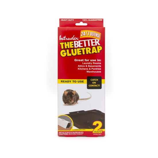 INTRUDER-Glue-Trap-Rodent-Killer-133555-1.jpg