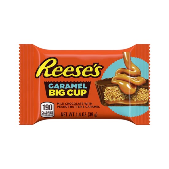 REESES-Chocolate-Peanut-Butter-Candy-1.4OZ-134920-1.jpg