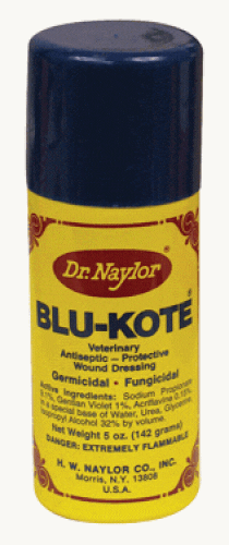 DR-NAYLOR-Blue-Kote-Aerosol-Spray-First-Aid-5OZ-137182-1.jpg