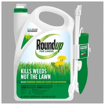 ROUNDUP, Liquid with Trigger Spray, Weed Prevention & Grass Killer, Post  Emergent, Ready to Use, 1GAL, 1PK