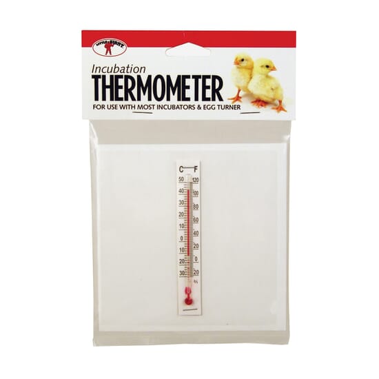 LITTLE-GIANT-Incubator-Thermometer-Poultry-Supplies-4.5INx5.5IN-485565-1.jpg