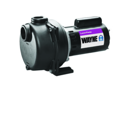 WAYNE-Sprinkler-Pump-Utility-Pump-590786-1.jpg