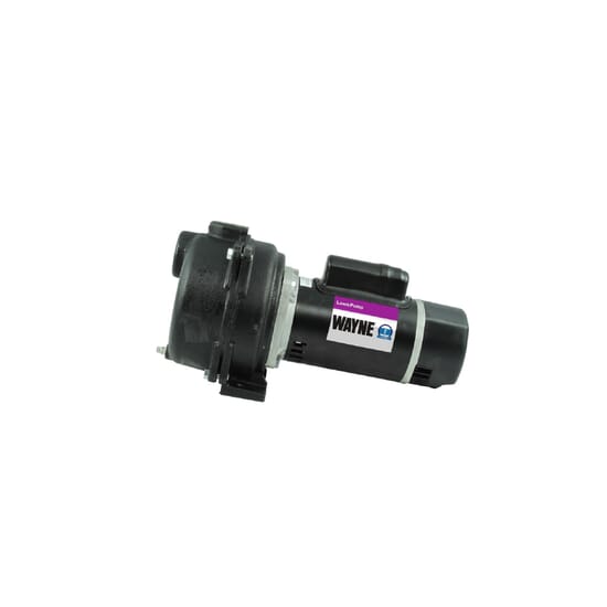 WAYNE-Sprinkler-Pump-Utility-Pump-590869-1.jpg
