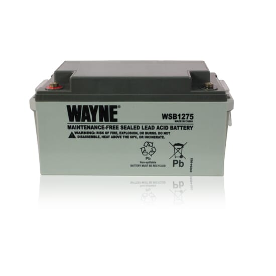 WAYNE-Battery-Pump-Parts-75AMP-616243-1.jpg