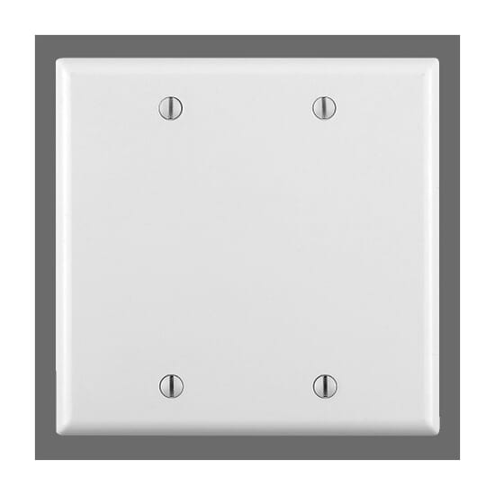 LEVITON-Nylon-Blank-Wall-Plate-Double-679662-1.jpg