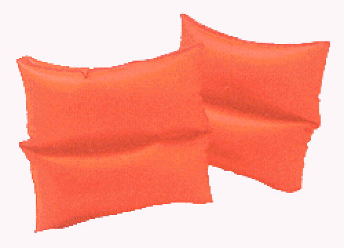 INTEX-Arm-Bands-Safety-Floatation-683839-1.jpg